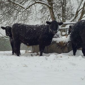 HUGE Unlisted Clearance Live show! August 26th 2025